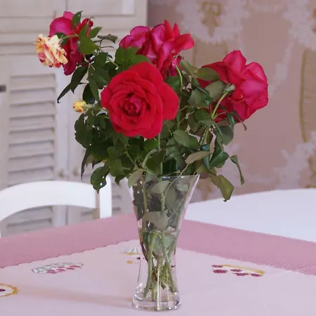 Bed & Breakfast Madeleine Villandraut