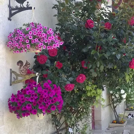 Bed & Breakfast Madeleine