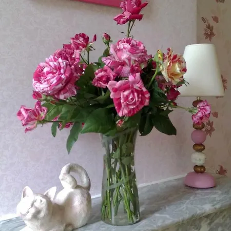 Bed & Breakfast Madeleine 3*