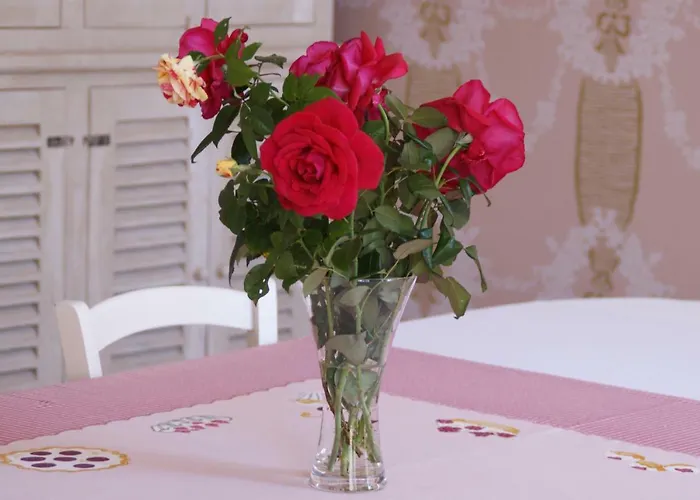 Oda ve Kahvaltı Madeleine Villandraut