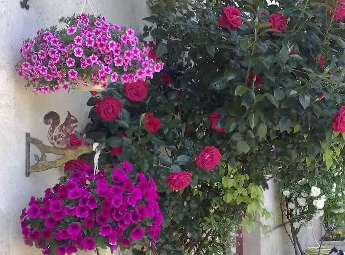 Oda ve Kahvaltı Madeleine