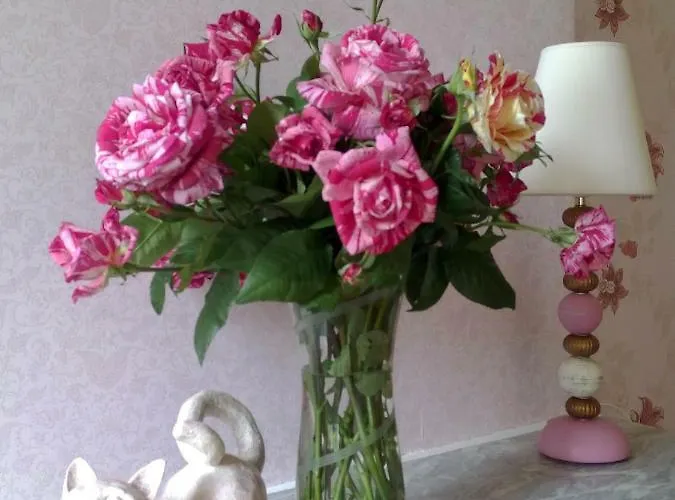 Oda ve Kahvaltı Madeleine 3*